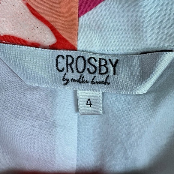 Crosby by Mollie Burch‎ Flat Front Rainbow Colorful Stripe Stripe Shorts Sz 4 - Picture 2 of 5